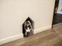 引越当初から猫ちゃんたちも慣れて快適に生活